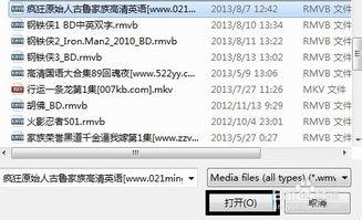 射手国产视频播放器,畅享视听盛宴的国产神器