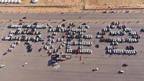 阿拉善 国产 视频,国产视觉盛宴，探寻神秘沙漠的奇幻之旅