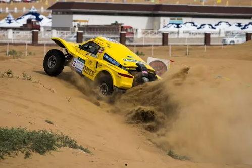 阿拉善 国产 视频,国产视觉盛宴，探寻神秘沙漠的奇幻之旅