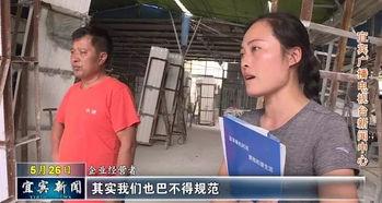 国产免费污遭视频,揭秘网络低俗内容的传播与反思