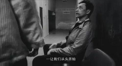 国产灭鼠电影推荐大全视频,惊悚刺激，揭秘鼠患危机